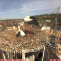 11_15-nest.jpg