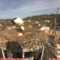 11_40-nest.jpg