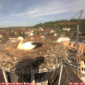 11_45-nest.jpg