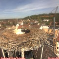 12_05-nest.jpg
