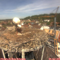 12_10-nest.jpg