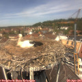 12_20-nest.jpg