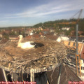 12_25-nest.jpg