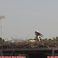 12_30-mast.jpg