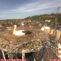 12_35-nest.jpg