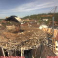 12_40-nest.jpg