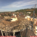 12_55-nest.jpg