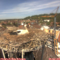 13_05-nest.jpg