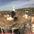 13_15-nest.jpg