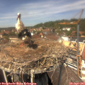 13_30-nest.jpg