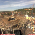 14_10-nest.jpg