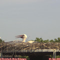14_45-mast.jpg
