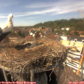15_20-nest.jpg