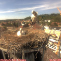 15_45-nest.jpg
