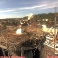 15_55-nest.jpg