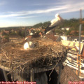 16_05-nest.jpg