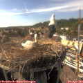 16_45-nest.jpg