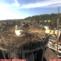 17_20-nest.jpg