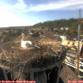 17_25-nest.jpg