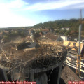 17_40-nest.jpg