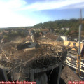 17_45-nest.jpg