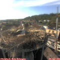 18_00-nest.jpg