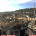 18_05-nest.jpg