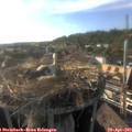 18_10-nest.jpg