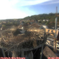 18_15-nest.jpg