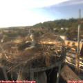 18_20-nest.jpg