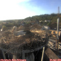 18_55-nest.jpg