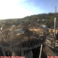 19_00-nest.jpg