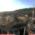 19_05-nest.jpg