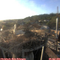 19_15-nest.jpg