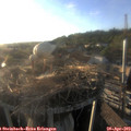 19_20-nest.jpg