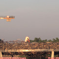 20_00-mast.jpg