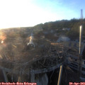 20_00-nest.jpg