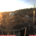 20_05-nest.jpg