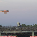 20_25-mast.jpg
