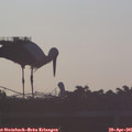 06_35-mast.jpg