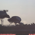 06_40-mast.jpg