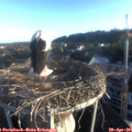 06_45-nest.jpg