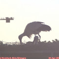 07_00-mast.jpg
