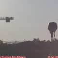 07_15-mast.jpg