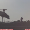 07_25-mast.jpg