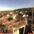 07_55-nest.jpg