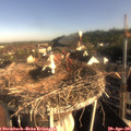 08_00-nest.jpg