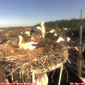08_30-nest.jpg