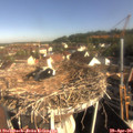 08_50-nest.jpg