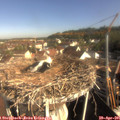 08_55-nest.jpg
